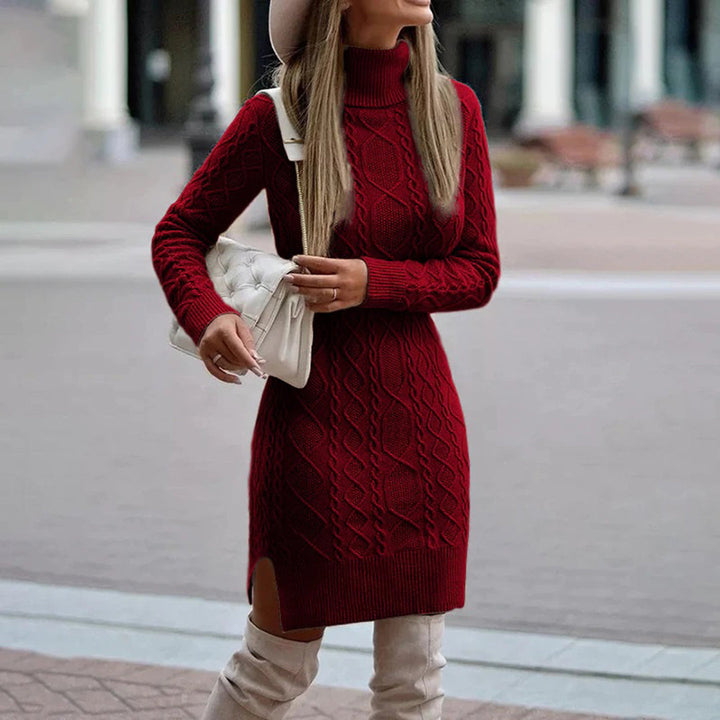 Traudel | Kleid mit Rollkragen, langen Ärmeln und schlanker Passform